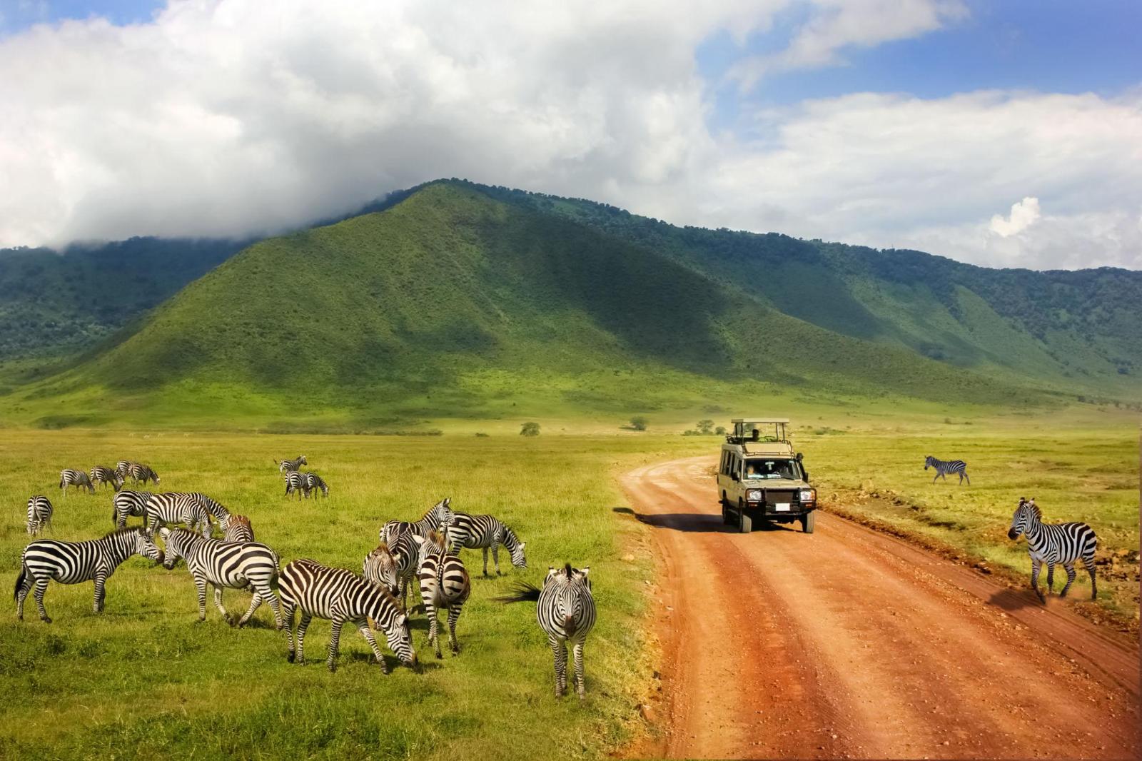 2. Game drive the Ngorongoro Crater - Image 1