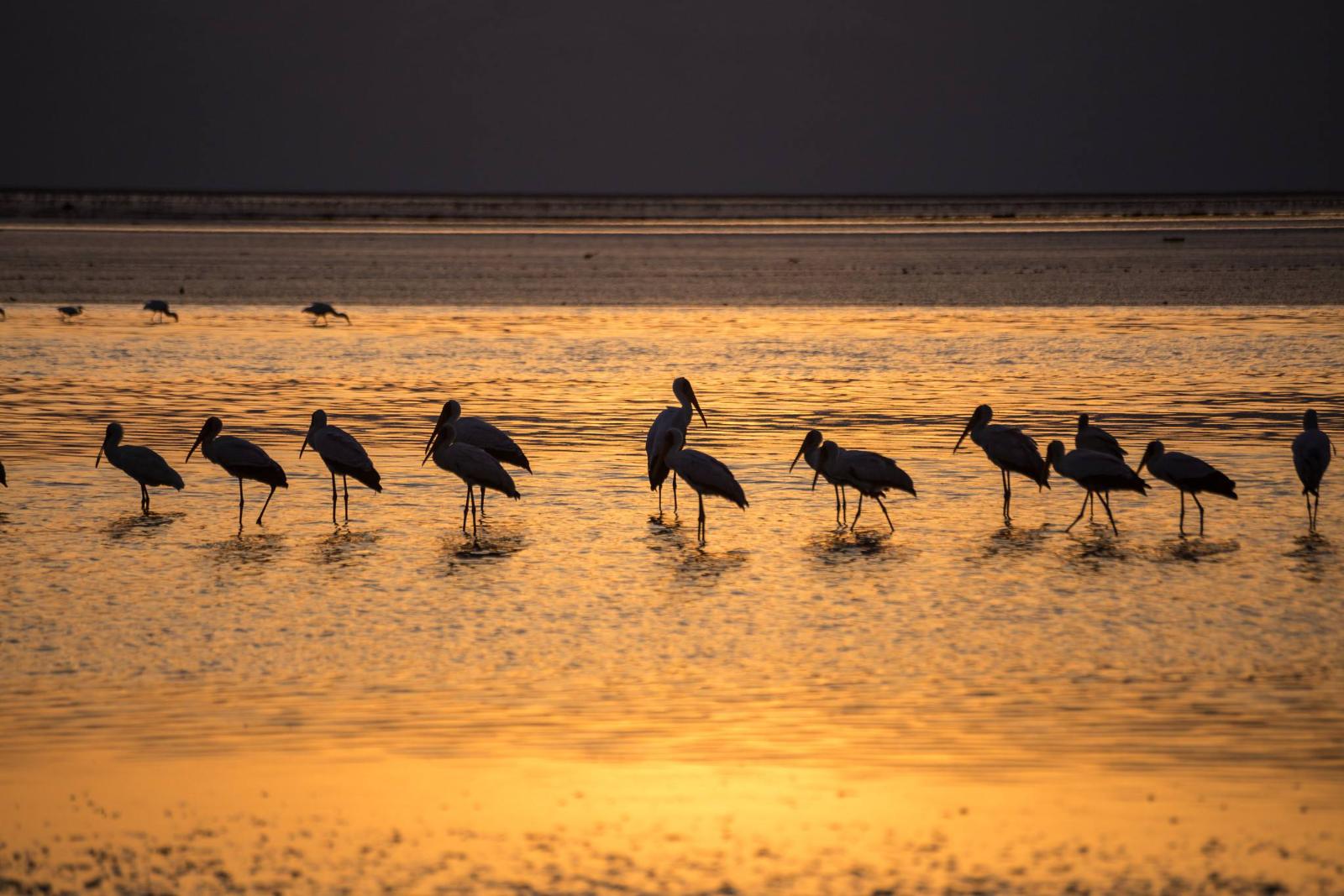 Ready to experience Serengeti and Ngorongoro? - Image 1