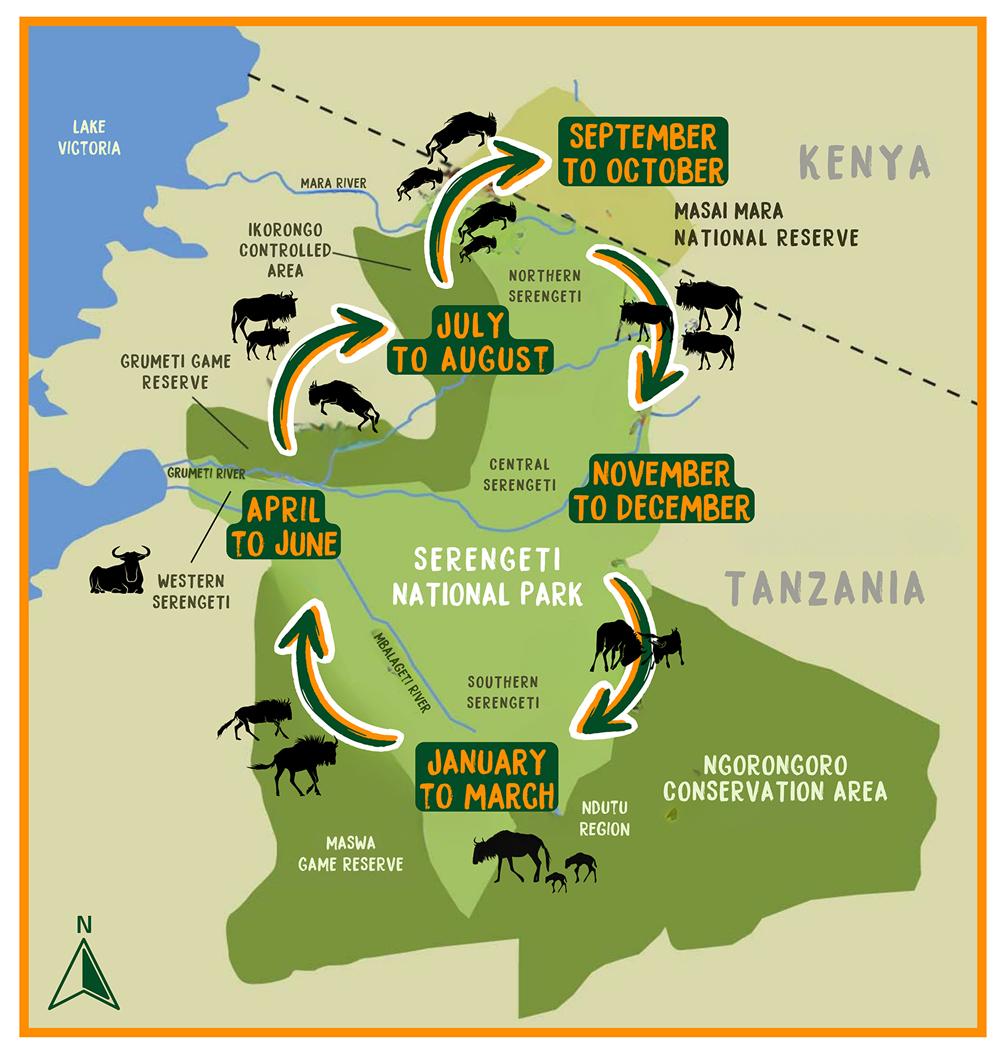 Best Time to Visit Serengeti - Image 1