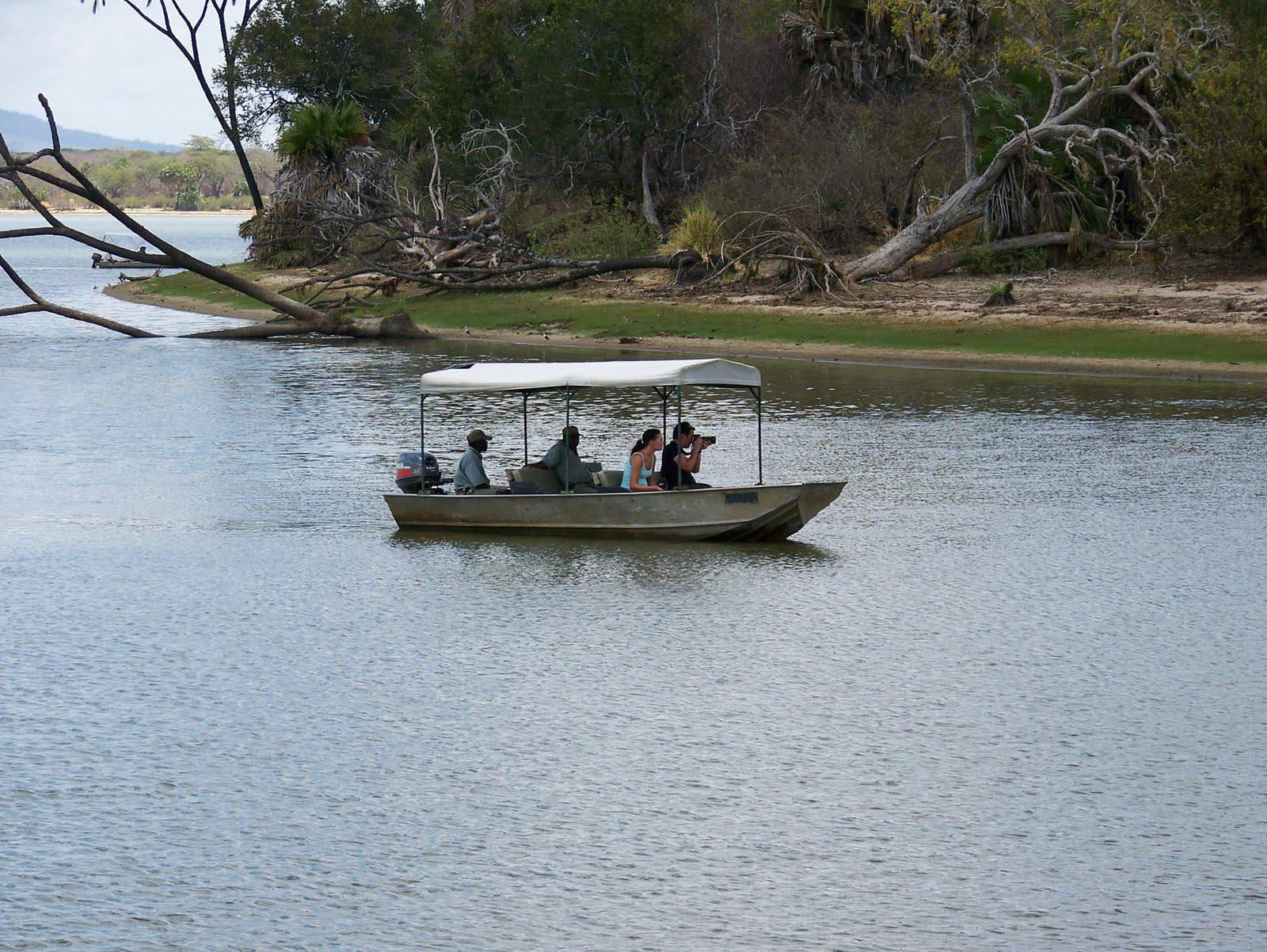 The Rufiji River: The Heart of Nyerere - Image 1