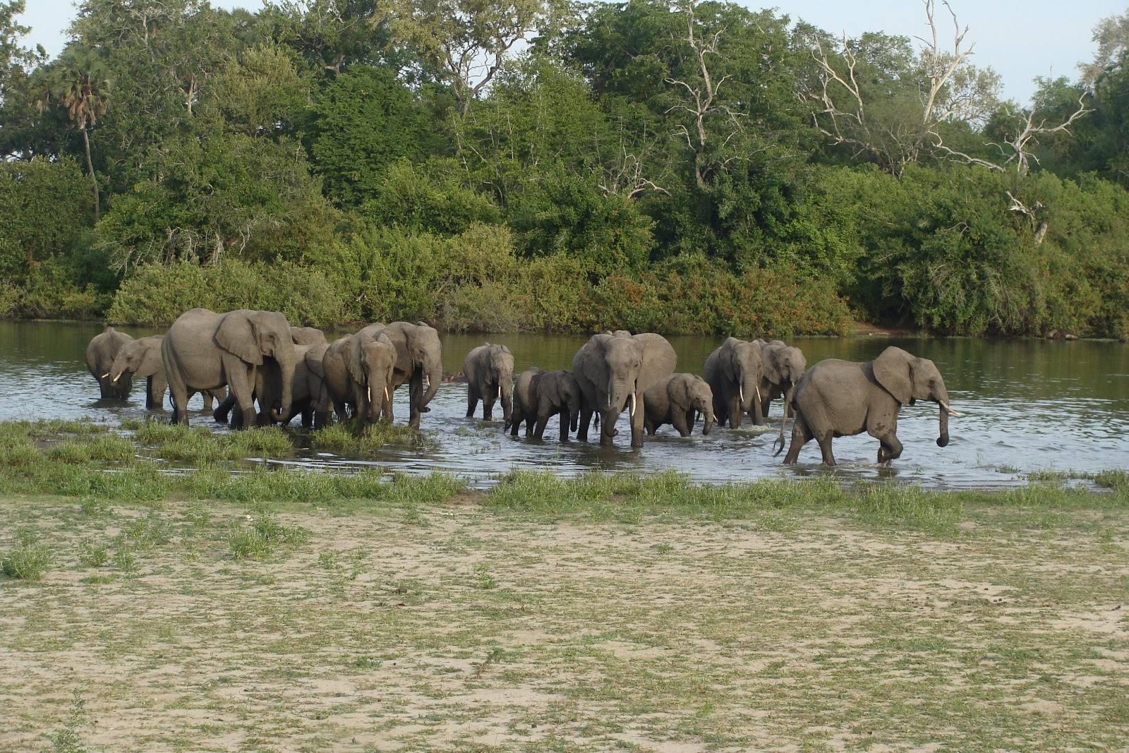 More Than a Game Drive - Image 1