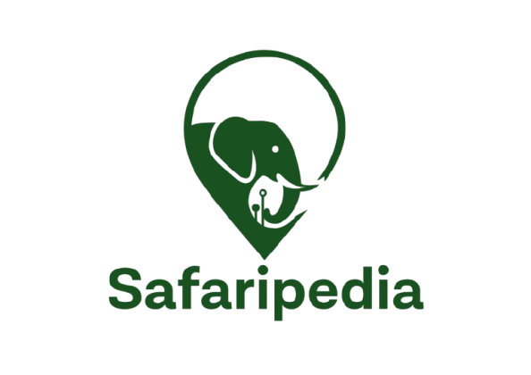 Safari