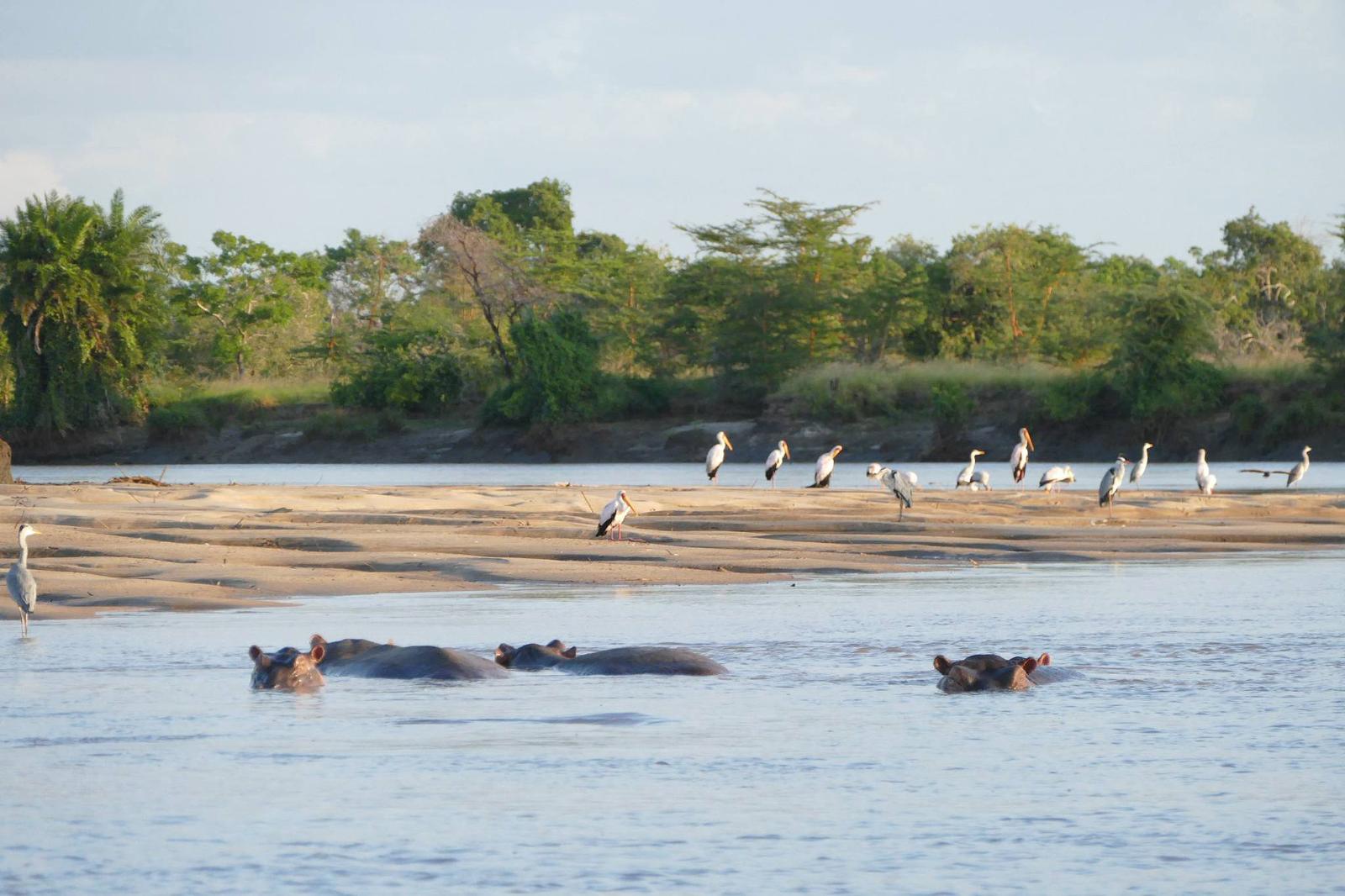 Saadani National Park