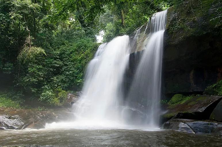 Why Visit Udzungwa Mountains National Park? - Image 1