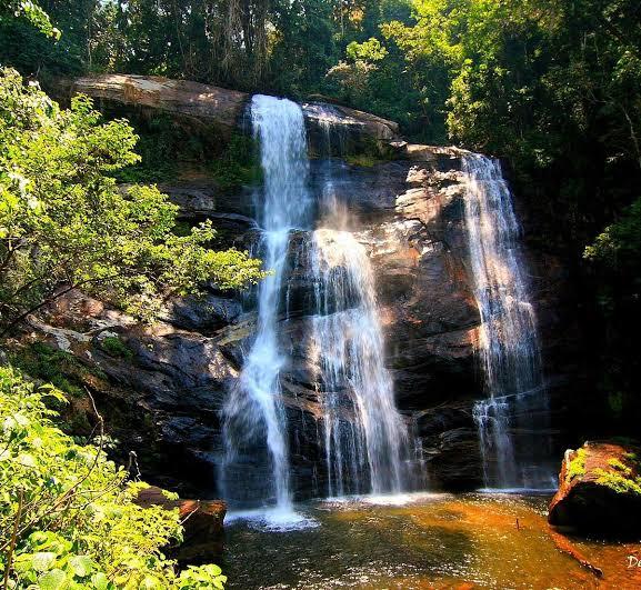 Best Time to Visit - Image 1