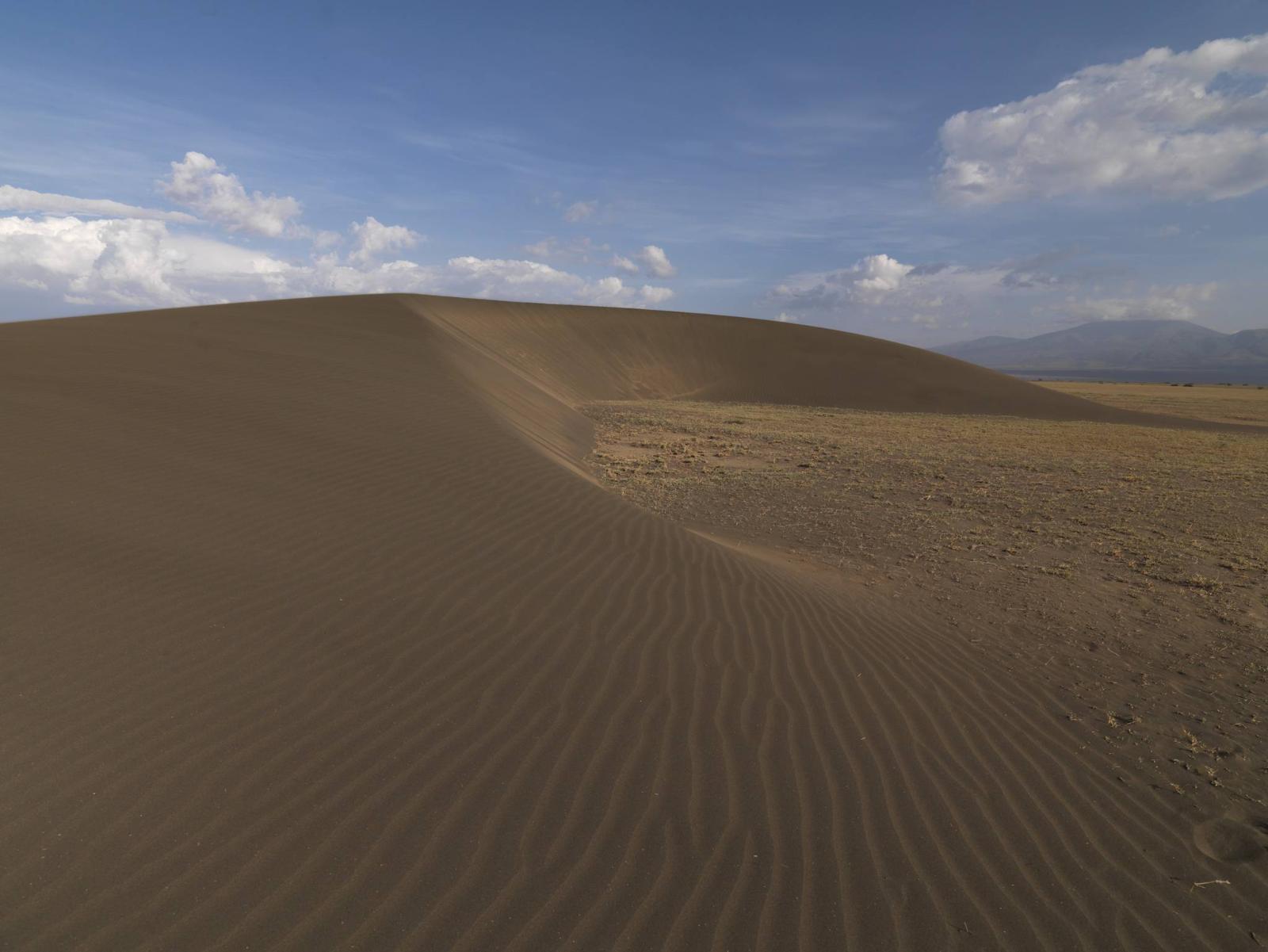 Why Visit Ngorongoro? - Image 1