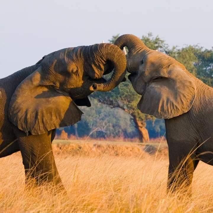 7-DAYS TANZANIA WILDERNESS & WATERFALL DISCOVERY