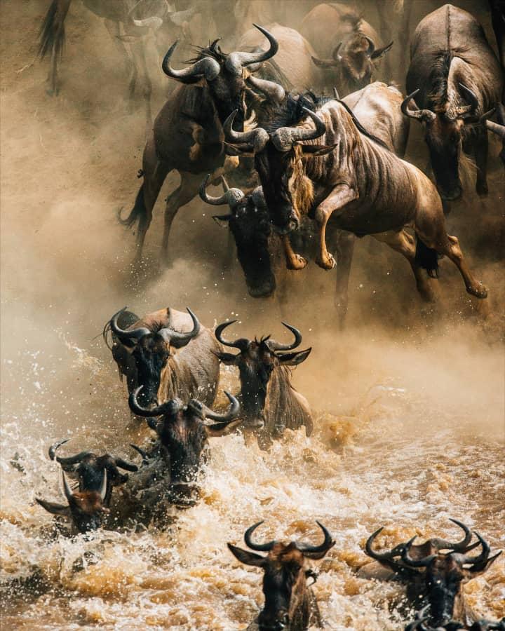 3-Day Fly In & Out Migration Crossing from Zanzibar