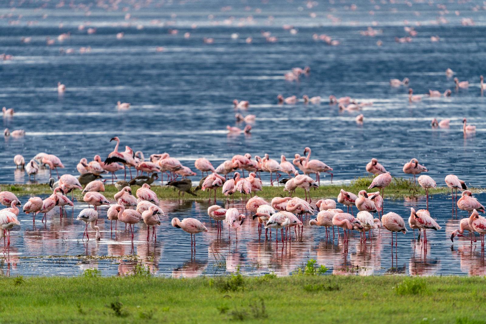 3-Day Midrange Safari: Tarangire & Ngorongoro Crater