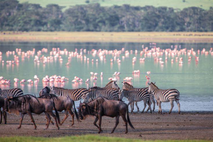 3-Day Serengeti & Ngorongoro Budget Safari