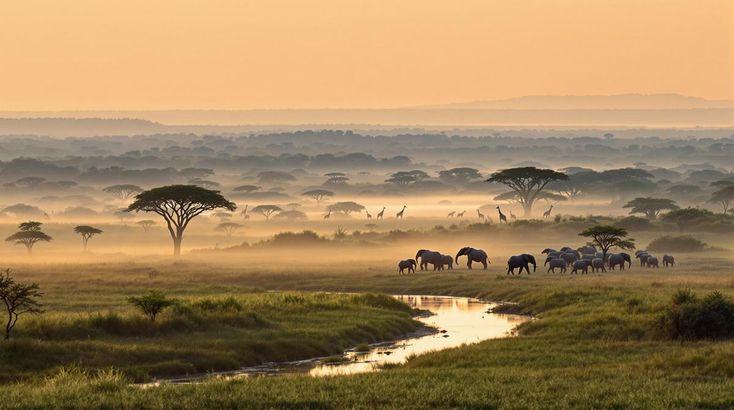3-Day Private Ngorongoro Budget Safari with Flights