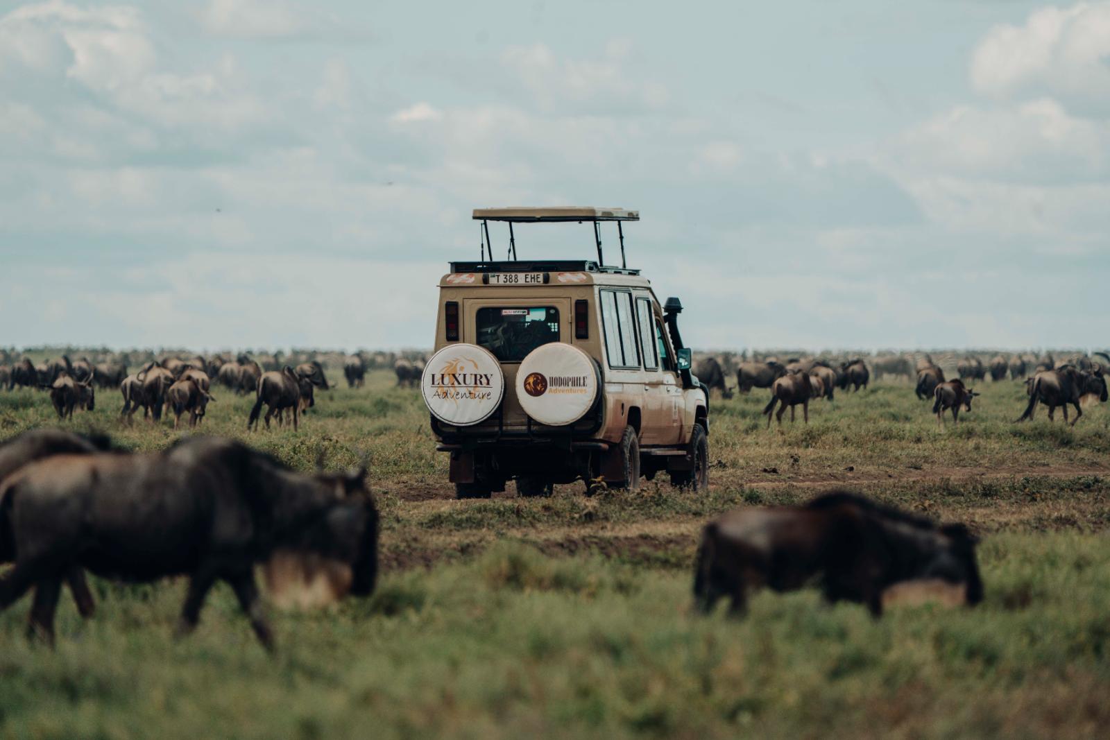 8 DAYS TANZANIA CALVING SEASON SAFARI.