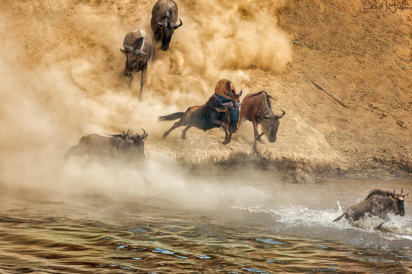 7-Day Luxury Migration Safari & Cultural Experience