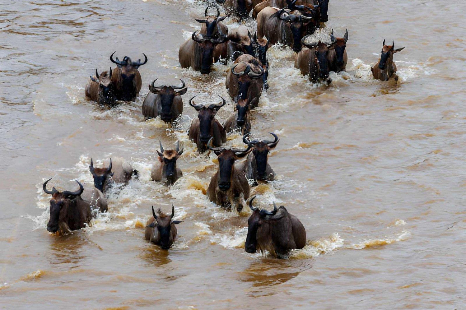 5 DAYS GREAT MIGRATION ESCAPE FROM ZANZIBAR